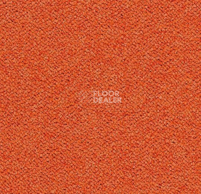 Ковровая плитка Forbo Tessera Chroma 3625 Calypso фото 1 | FLOORDEALER
